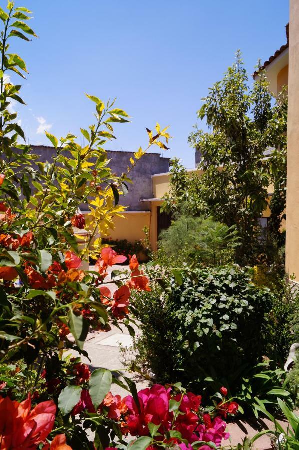 J&K Suite San Cristóbal de Las Casas Zewnętrze zdjęcie